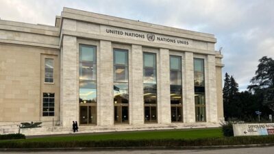 Key Contributions, Background and Insights from the UN Forum